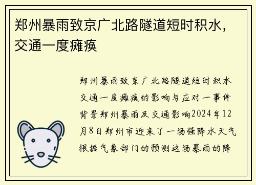 郑州暴雨致京广北路隧道短时积水，交通一度瘫痪