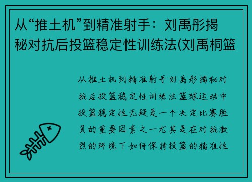 从“推土机”到精准射手：刘禹彤揭秘对抗后投篮稳定性训练法(刘禹桐篮球)