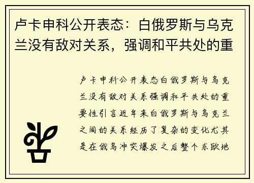 卢卡申科公开表态：白俄罗斯与乌克兰没有敌对关系，强调和平共处的重要性