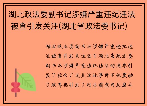湖北政法委副书记涉嫌严重违纪违法 被查引发关注(湖北省政法委书记)